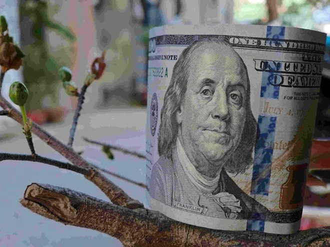 Tỷ giá USD tăng nóng kỷ lục